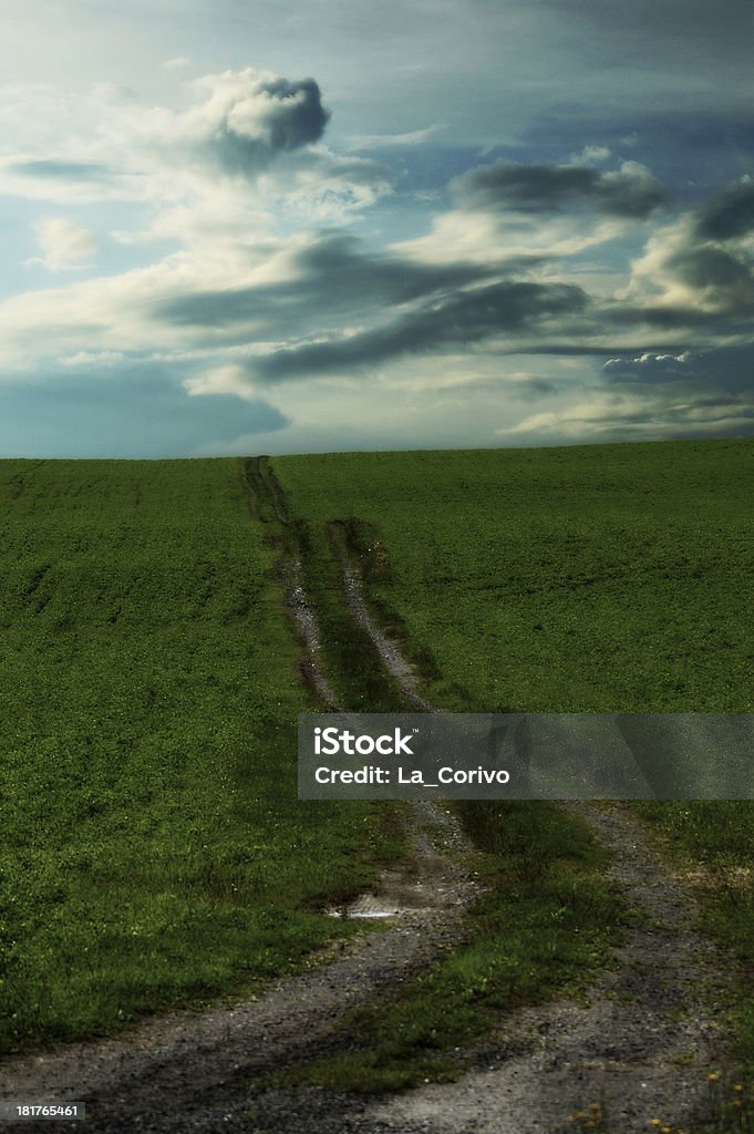 Carretera de montaña de hierba, coudy sky - Foto de stock de Aire libre libre de derechos