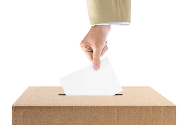 istock Human hand inserts vote paper into ballot box 1817712721