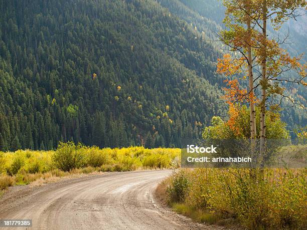 秋 - アメリカ合衆国のストックフォトや画像を多数ご用意 - アメリカ合衆国, コロラド州, ポプラの木