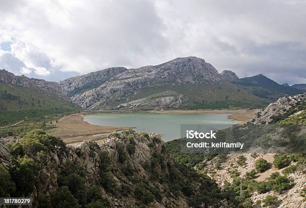 Cuber Lake Mallorca - zdjęcia stockowe i więcej obrazów Baleary - Baleary, Bez ludzi, Drzewo