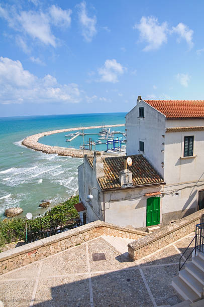 istock Panoramic view of Rodi Garganico. Puglia. Italy. 181780522