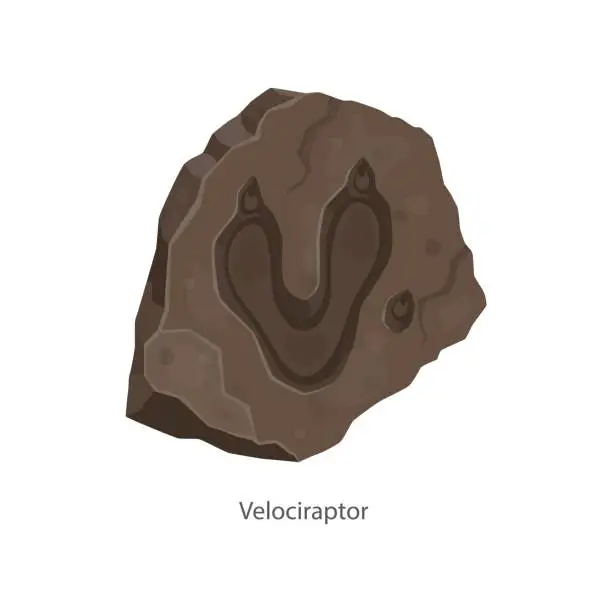 Vector illustration of Ancient velociraptor dinosaur footprint fossil