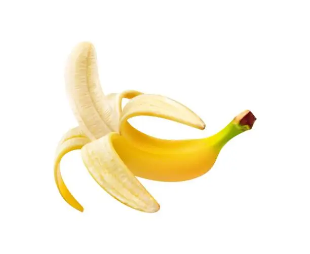 Vector illustration of Realistic ripe banana whole fruit with open peel
