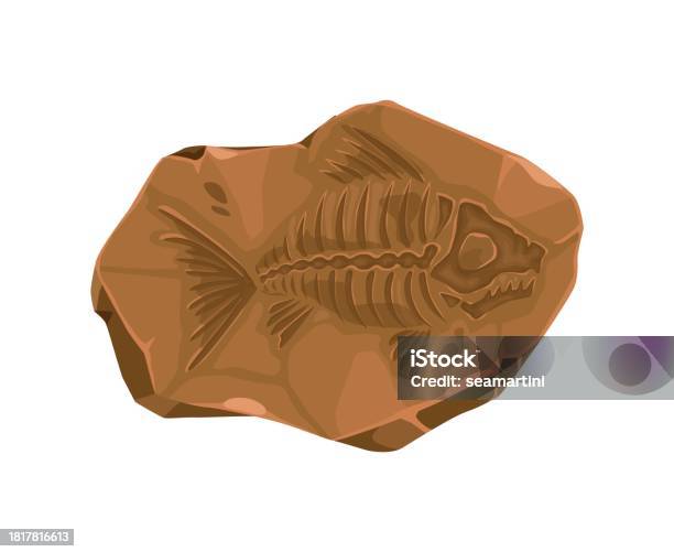 Fish Sign Early Archaeological Example Ancient Fish Extinct Animal Fossil Stone Imprint Stock Illustration ...