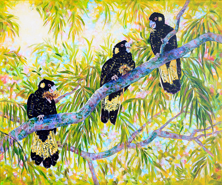 Three Australian Yellow-tailed Black Cockatoos sitting on a branch in a tree and eating Australian Banksia Flowers. An original acrylic painting by Judi Parkinson.