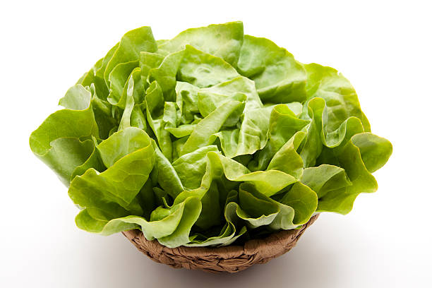 istock Lettuce freshly in the basket 181784959
