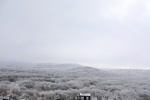 This is a winter landscape of 1100 Hill Wetland, a famous tourist attraction in Jeju Island, South Korea.