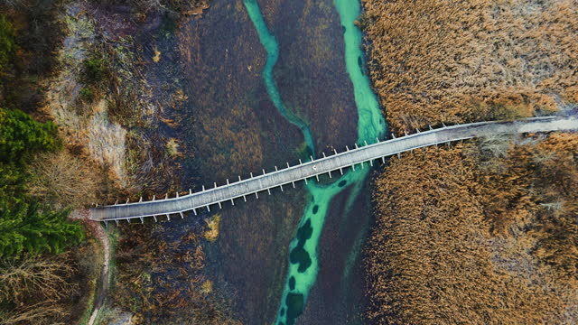 AERIAL Drone Directly Above Shot of Unknown Tourist Walking on Wooden Footbridge Over Marshy River in Zelenci Nature Reserve