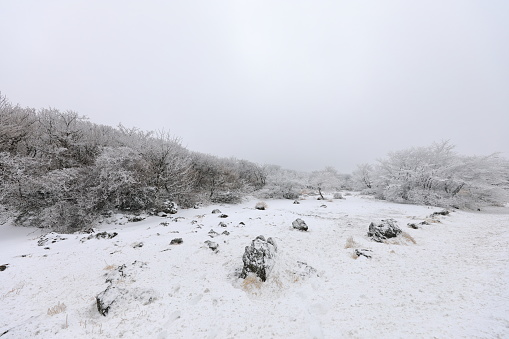 winter, drone view