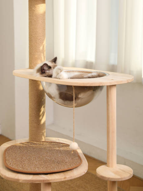 istock Cat Tower,Cat tree,pet cat wooden frame,cat climbing frame,indoor 1817879917