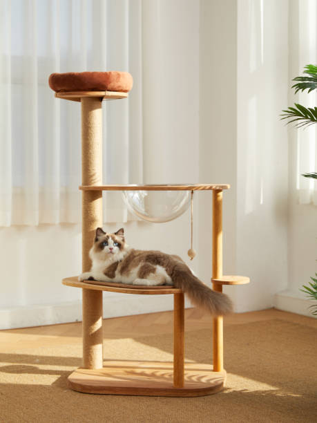 istock Cat Tower,Cat tree,pet cat wooden frame,cat climbing frame,indoor 1817879928