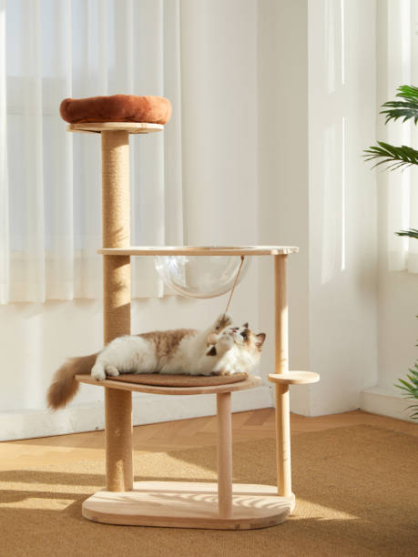 istock Cat Tower,Cat tree,pet cat wooden frame,cat climbing frame,indoor 1817880369