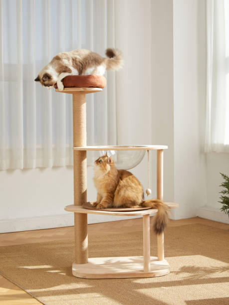 Cat Tower,Cat tree,pet cat wooden frame,cat climbing frame,indoor