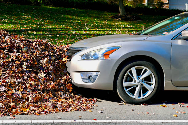 Fairfax, Virginia, USA - November 6, 2023: A car parked on top of a pile of leaves that awaits annual leaf pickups in a suburban neighborhood of Fairfax County.