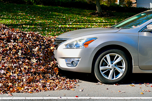 Fairfax, Virginia, USA - November 6, 2023: A car parked on top of a pile of leaves that awaits annual leaf pickups in a suburban neighborhood of Fairfax County.