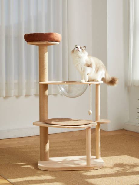 istock Cat Tower,Cat tree,pet cat wooden frame,cat climbing frame,indoor 1817880437