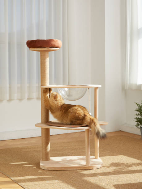 istock Cat Tower,Cat tree,pet cat wooden frame,cat climbing frame,indoor 1817880439