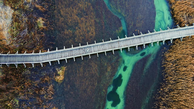 AERIAL Drone Directly Above Shot of Tourist Walking on Wooden Footbridge Over Marshy River in Zelenci Nature Reserve