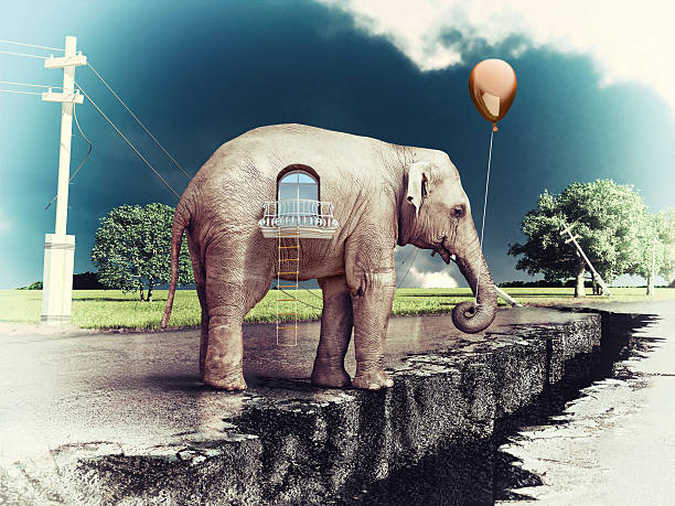 istock elephant -house on the road 181789173