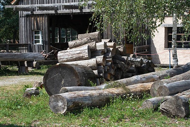 Old sawmill with trunks stock photo