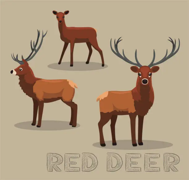 Vector illustration of Red Deer Cartoon Vector Illustration