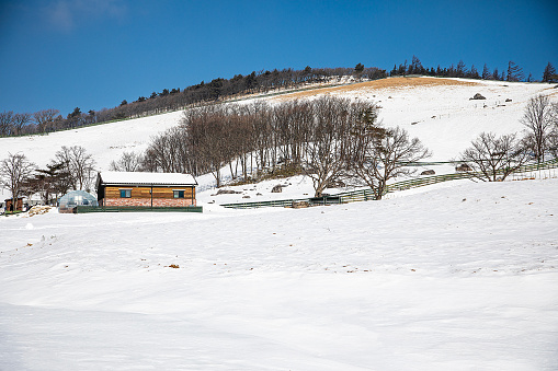 Beautiful winter scene, landscape, background, with snow covered lake which has trail across.