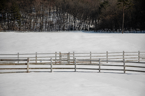 chain-link fence and trees covered by fluffy snow  - winter in  countryside