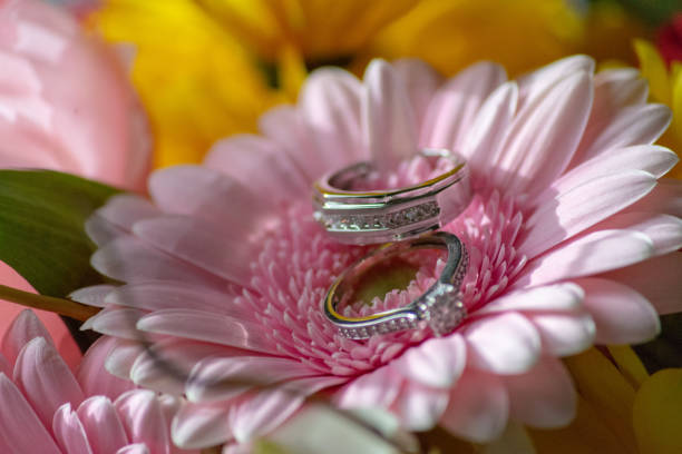 Wedding rings placed on a bed of freshly picked flowers
