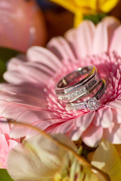 istock Wedding rings placed on a bed of freshly picked flowers 1817956552