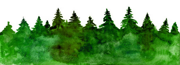istock Panorama of coniferous forest silhouettes. Green on a white background. Watercolor. 1817977047