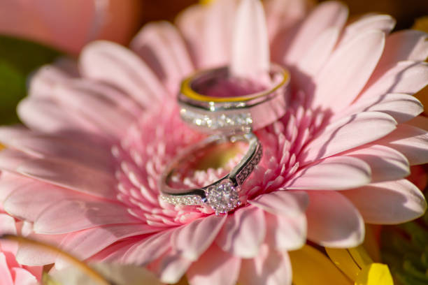 istock Wedding rings placed on a bed of freshly picked flowers 1817979151