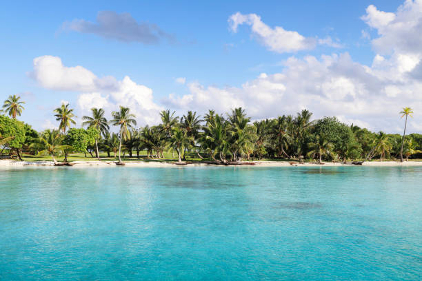 istock Beautiful tropical island with palm trees 1817986025