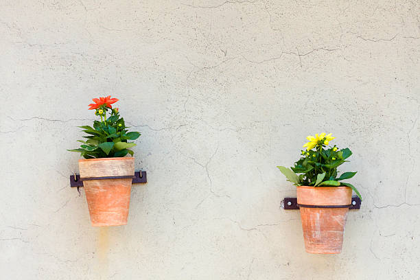 istock Flowers in flowerpot on wall 181798978