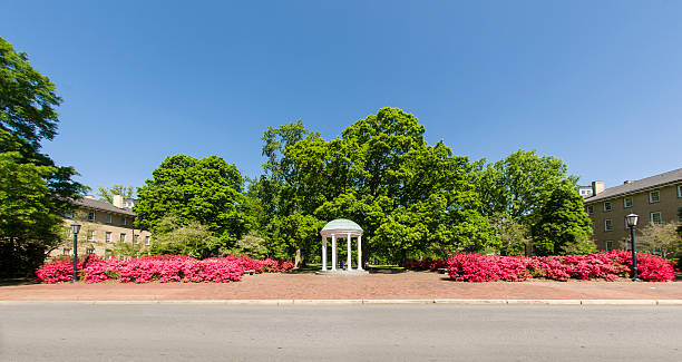 Azaleas blooming at the UNC Old Well Azaleas in full bloom on both sides of the UNC Old Well in Chapel Hill on a clear day with Carolina blue skies university of north carolina stock pictures, royalty-free photos & images