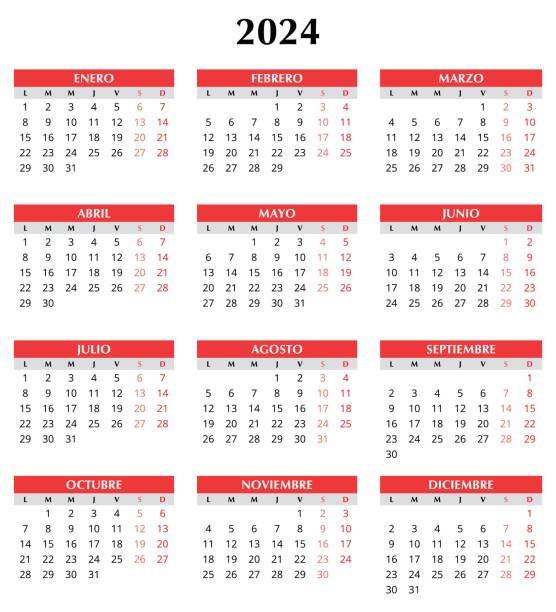 2024 spanish calendar. Simple vector template illustration in Spain. Vertical vector art illustration