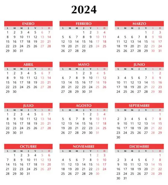 Vector illustration of 2024 spanish calendar. Simple vector template illustration in Spain. Vertical