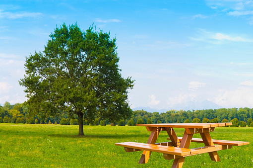 Wooden picnic table on a green meadow in a public park with isolated tree on background.