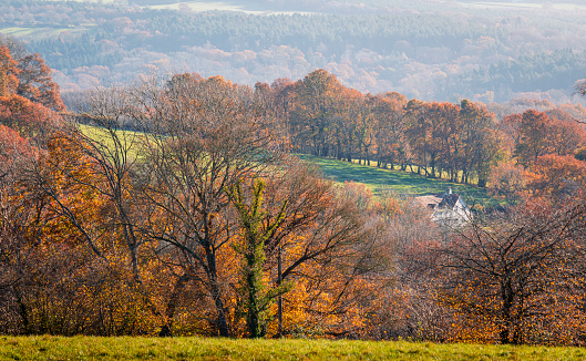 Autumn hiking over the high weald towards Burwash Common in east Sussex south east England UK