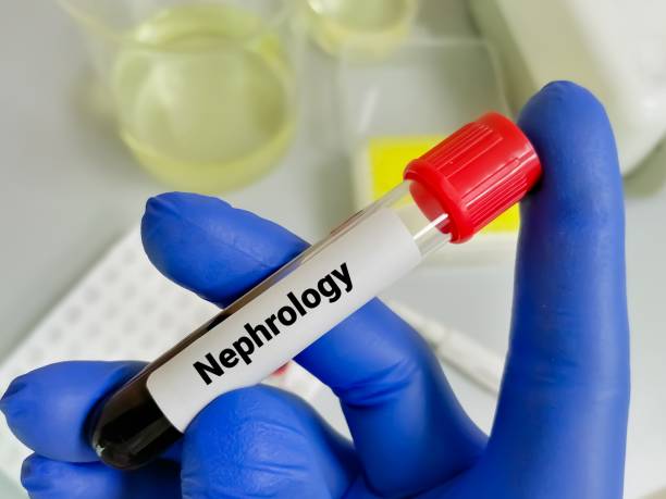 istock Blood sample for Nephrological studies, Kidney disease diagnosis test. 1818018177
