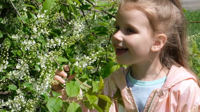 Little girl smelling blooming tree. Happy child enjoying nature outdoors. A child in the garden sniffs flower of bird cherry. Cute child in blossom garden