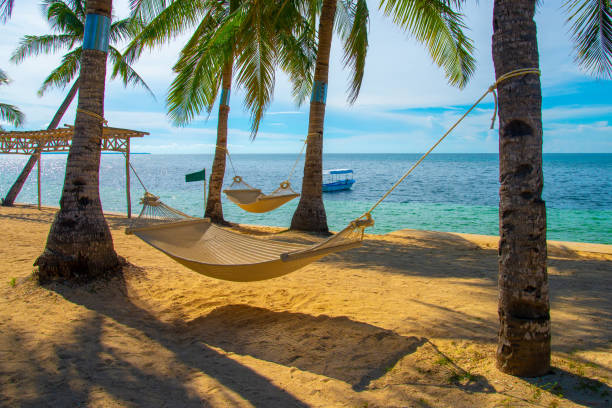 istock A scenic tropical beachside landscape featuring swaying coconut trees 1818045663