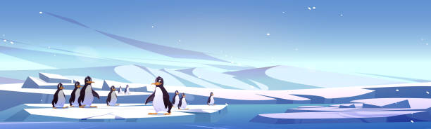 ilustrações, clipart, desenhos animados e ícones de grupo de pinguins em pé na paisagem de gelo - oceano antártico