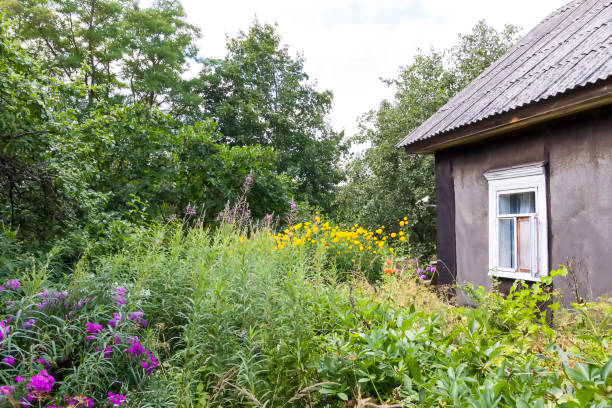 istock Rural house building and summer flowers. 1818073835