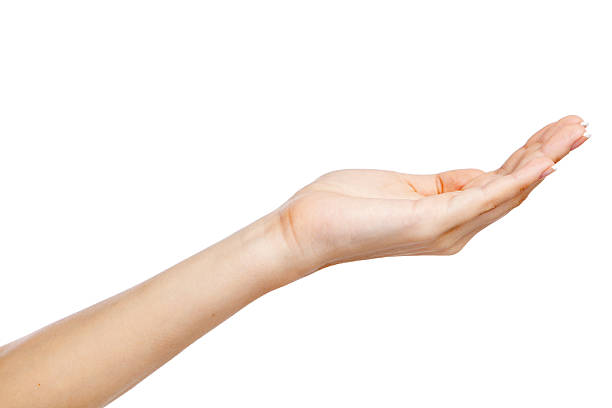 istock Female hand isolated on white background 181810140