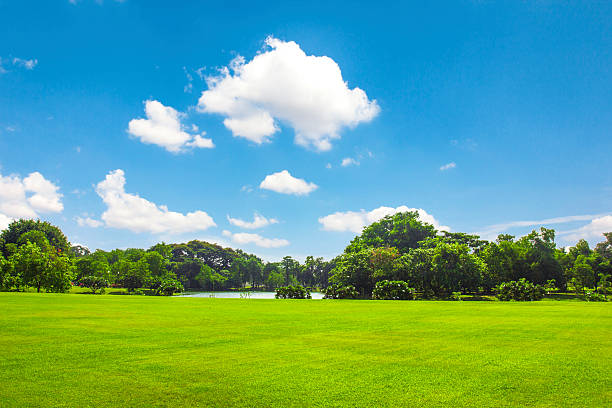 istock Green park outdoor with blue sky cloud 181810460
