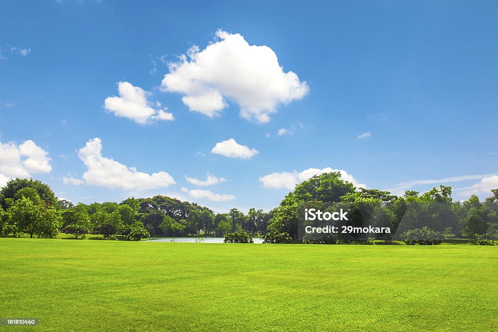 Green park outdoor with blue sky cloud Agricultural Field Stock Photo