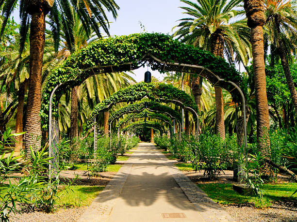 Park in Santa Cruz - capital city of Tenerife, Canary Islands, Spain