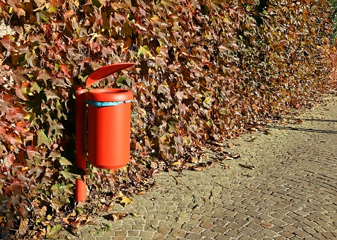Red plastic street dustbin on porphyry sidewalk with wall on behind fully covered with autumn leaves of a creeper plant.