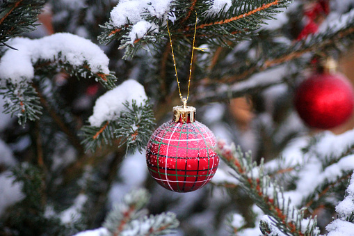 A cute little Christmas ornament with snow on it hanging in a snowy tree