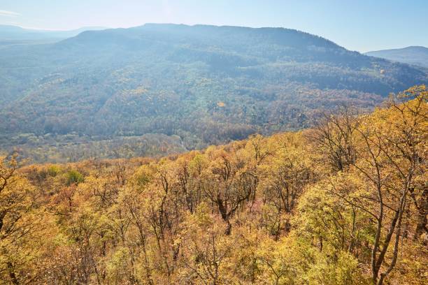 istock Autumn mountain landscape. Yellow trees on a clear day. 1818230282
